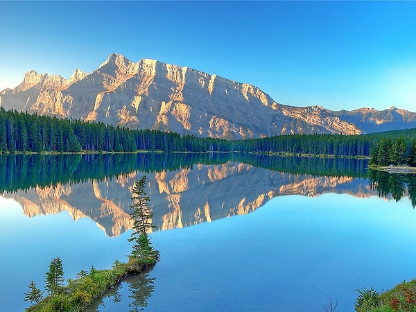 專(zhuān)業(yè)團(tuán)隊(duì)